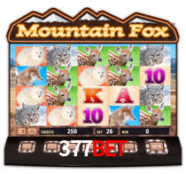 377bet